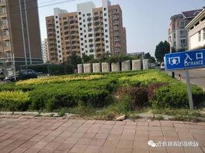 襄阳头条小区用水困难吗,居民面临用水难题