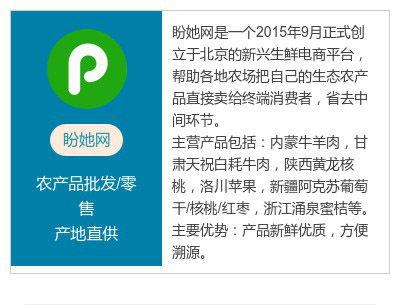 https51吃瓜,一场全民参与的趣味盛宴