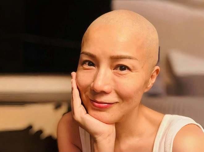 香港患癌明星,香港患癌明星勇敢抗癌历程回顾