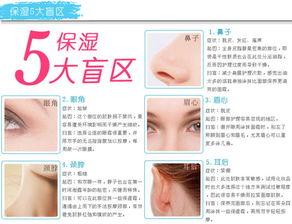 明星欧蚕,闪耀星途的璀璨光芒