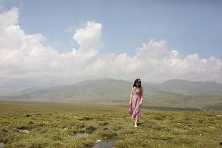 青海网红叫什么真,青海网红“真”的传奇人生