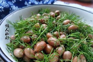 夏季吃瓜肠胃疼,吃瓜需谨慎，预防肠胃疼痛攻略